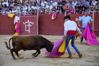 Fotogalería Vaquillas Quintos Fiestas San Rafael 3 Fotografía: Miguel Angel Fernández