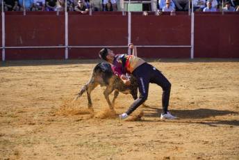Fotogalería Recortadores Fiestas Prádena 73 Fotografía: Miguel Angel Fernández