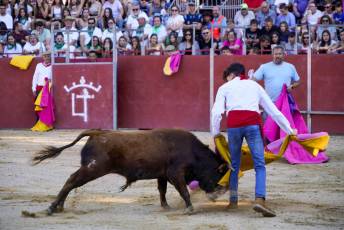 Fotogalería Vaquillas Quintos Fiestas San Rafael 2 Fotografía: Miguel Angel Fernández