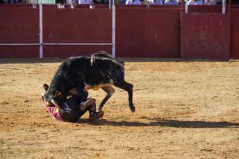 Fotogalería Recortadores Fiestas Prádena 47 Fotografía: Miguel Angel Fernández