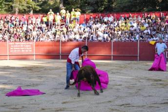 Fotogalería Vaquillas Quintos Fiestas San Rafael 35 Fotografía: Miguel Angel Fernández