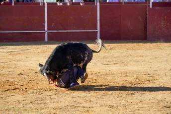 Fotogalería Recortadores Fiestas Prádena 34 Fotografía: Miguel Angel Fernández