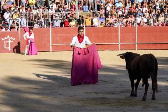 Fotogalería Vaquillas Quintos Fiestas San Rafael 13 Fotografía: Miguel Angel Fernández