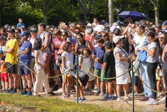 Fotogalería Fuentes Ornamentales Palacio de la Granja 34 Fotografía: Miguel Angel Fernández