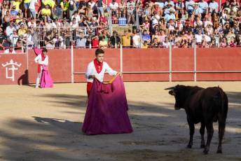 Fotogalería Vaquillas Quintos Fiestas San Rafael 40 Fotografía: Miguel Angel Fernández