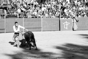 Fotogalería Vaquillas Quintos Fiestas San Rafael 5 Fotografía: Miguel Angel Fernández