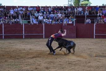Fotogalería Recortadores Fiestas Prádena 59 Fotografía: Miguel Angel Fernández
