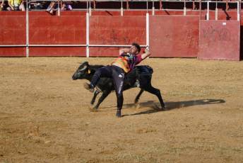 Fotogalería Recortadores Fiestas Prádena 66 Fotografía: Miguel Angel Fernández