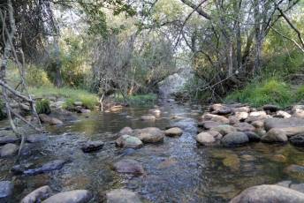 Fotogalería Inicio Desmantelamiento Presa de la Muña en Navafría 30 Fotografía: Miguel Angel Fernández