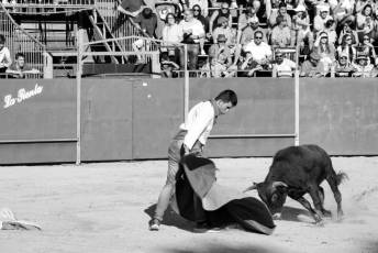 Fotogalería Vaquillas Quintos Fiestas San Rafael 52 Fotografía: Miguel Angel Fernández