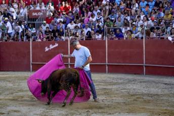Fotogalería Vaquillas Quintos Fiestas San Rafael 50 Fotografía: Miguel Angel Fernández