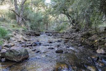 Fotogalería Inicio Desmantelamiento Presa de la Muña en Navafría 24 Fotografía: Miguel Angel Fernández