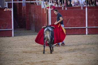 Fotogalería Recortadores Fiestas Prádena 90 Fotografía: Miguel Angel Fernández