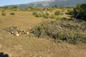 Fotogalería Inicio Desmantelamiento Presa de la Muña en Navafría 17 Fotografía: Miguel Angel Fernández