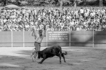 Fotogalería Vaquillas Quintos Fiestas San Rafael 46 Fotografía: Miguel Angel Fernández