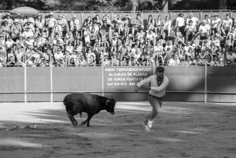 Fotogalería Vaquillas Quintos Fiestas San Rafael 49 Fotografía: Miguel Angel Fernández