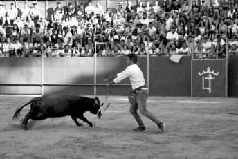 Fotogalería Vaquillas Quintos Fiestas San Rafael 14 Fotografía: Miguel Angel Fernández