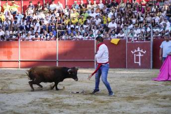 Fotogalería Vaquillas Quintos Fiestas San Rafael 48 Fotografía: Miguel Angel Fernández