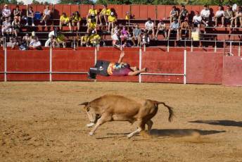 Fotogalería Recortadores Fiestas Prádena 78 Fotografía: Miguel Angel Fernández