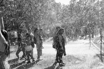 Fotogalería Fuentes Ornamentales Palacio de la Granja 31 Fotografía: Miguel Angel Fernández