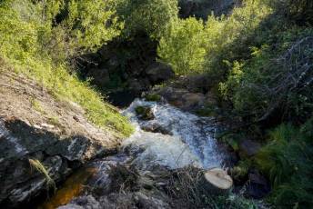 Fotogalería Inicio Desmantelamiento Presa de la Muña en Navafría 31 Fotografía: Miguel Angel Fernández