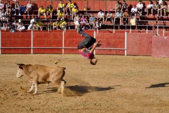 Fotogalería Recortadores Fiestas Prádena 74 Fotografía: Miguel Angel Fernández
