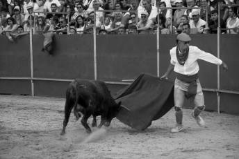 Fotogalería Vaquillas Quintos Fiestas San Rafael 11 Fotografía: Miguel Angel Fernández