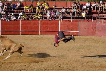 Fotogalería Recortadores Fiestas Prádena 50 Fotografía: Miguel Angel Fernández