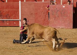 Fotogalería Recortadores Fiestas Prádena 29 Fotografía: Miguel Angel Fernández