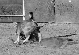Fotogalería Recortadores Fiestas Prádena 83 Fotografía: Miguel Angel Fernández