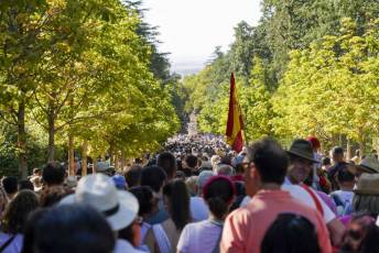 Fotogalería Fuentes Ornamentales Palacio de la Granja 38 Fotografía: Miguel Angel Fernández