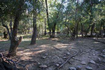 Fotogalería Inicio Desmantelamiento Presa de la Muña en Navafría 18 Fotografía: Miguel Angel Fernández