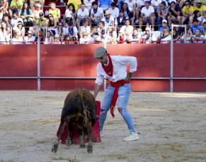 Fotogalería Vaquillas Quintos Fiestas San Rafael 15 Fotografía: Miguel Angel Fernández