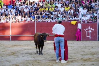 Fotogalería Vaquillas Quintos Fiestas San Rafael 47 Fotografía: Miguel Angel Fernández