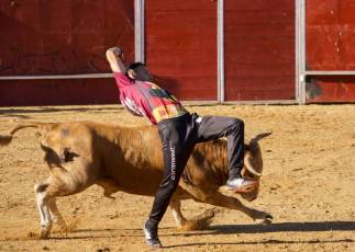 Fotogalería Recortadores Fiestas Prádena 71 Fotografía: Miguel Angel Fernández