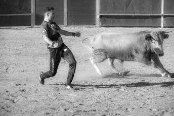Fotogalería Recortadores Fiestas Prádena 76 Fotografía: Miguel Angel Fernández