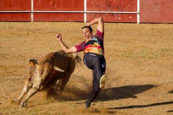 Fotogalería Recortadores Fiestas Prádena 8 Fotografía: Miguel Angel Fernández