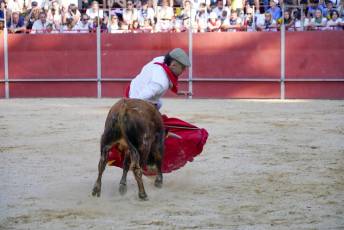 Fotogalería Vaquillas Quintos Fiestas San Rafael 45 Fotografía: Miguel Angel Fernández