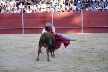 Fotogalería Vaquillas Quintos Fiestas San Rafael 7 Fotografía: Miguel Angel Fernández
