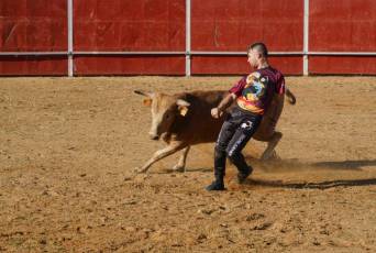 Fotogalería Recortadores Fiestas Prádena 75 Fotografía: Miguel Angel Fernández