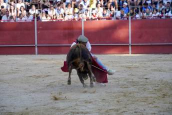 Fotogalería Vaquillas Quintos Fiestas San Rafael 51 Fotografía: Miguel Angel Fernández