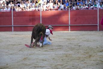 Fotogalería Vaquillas Quintos Fiestas San Rafael 44 Fotografía: Miguel Angel Fernández