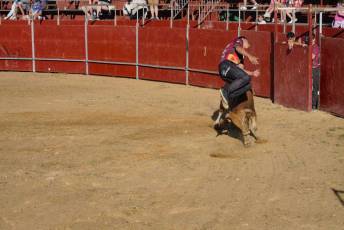 Fotogalería Recortadores Fiestas Prádena 42 Fotografía: Miguel Angel Fernández