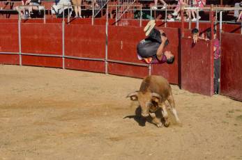 Fotogalería Recortadores Fiestas Prádena 46 Fotografía: Miguel Angel Fernández