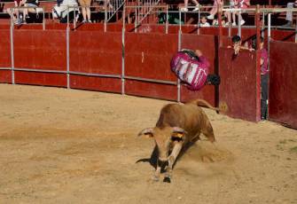 Fotogalería Recortadores Fiestas Prádena 80 Fotografía: Miguel Angel Fernández