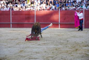 Fotogalería Vaquillas Quintos Fiestas San Rafael 37 Fotografía: Miguel Angel Fernández