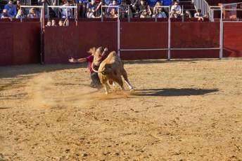 Fotogalería Recortadores Fiestas Prádena 70 Fotografía: Miguel Angel Fernández