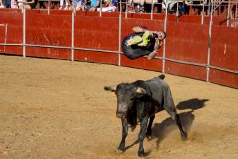Fotogalería Recortadores Fiestas Prádena 89 Fotografía: Miguel Angel Fernández