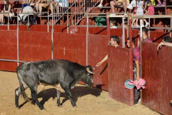 Fotogalería Recortadores Fiestas Prádena 55 Fotografía: Miguel Angel Fernández
