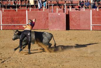 Fotogalería Recortadores Fiestas Prádena 81 Fotografía: Miguel Angel Fernández